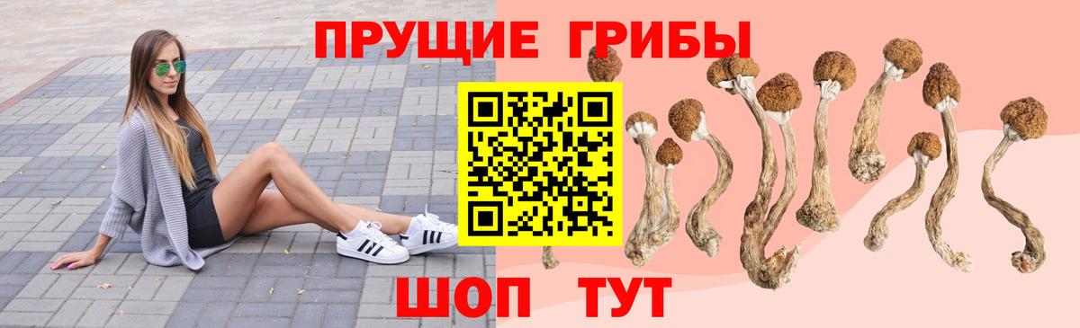 Псилоцибиновые грибы MAGIC MUSHROOMS  Вход с VPN  Галлюциногенные грибы MAGIC MUSHROOMS  Шебекино 